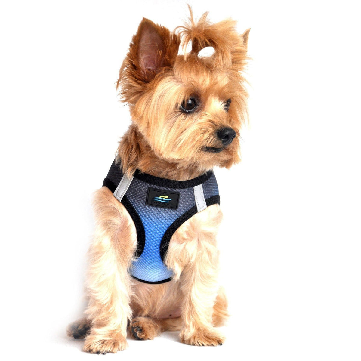 Step-in dog harness - Midnight Sky