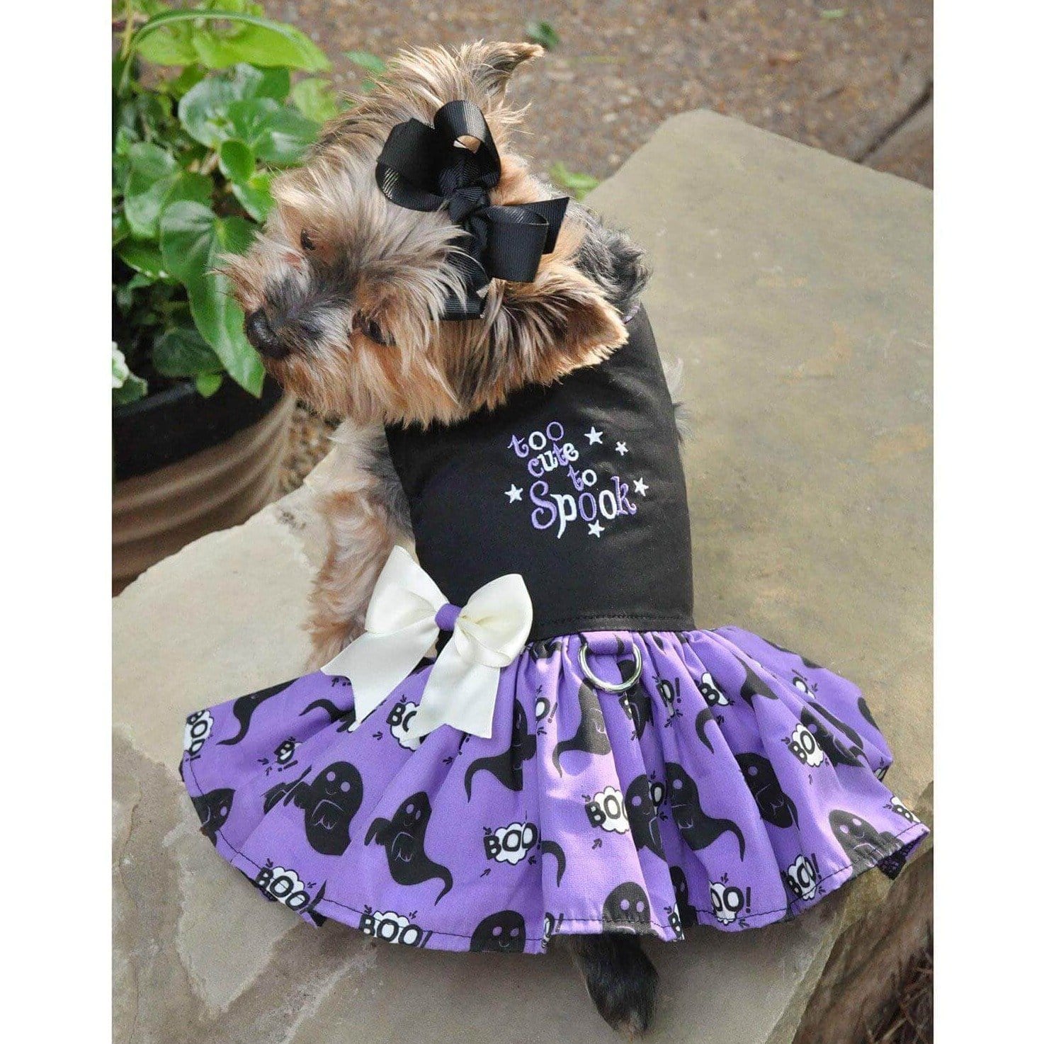 Halloween Dog Dress - Too Cute to Spook - Yorkie