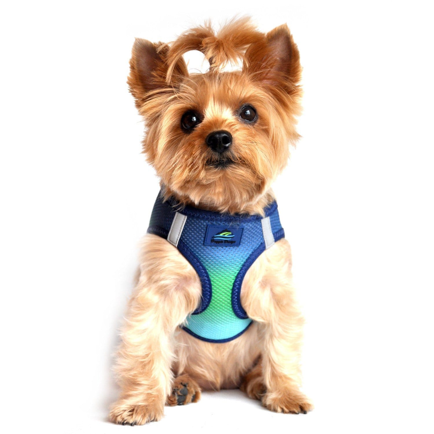 Step-in small dog harness - Northern Lights on a yorkie