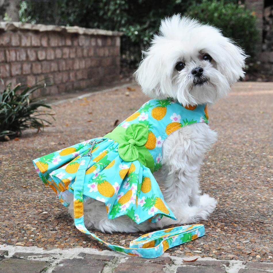 Pineapple Luau Dog Dress with Matching Leash Pineapple Luau Dog Dress with Matching Leash