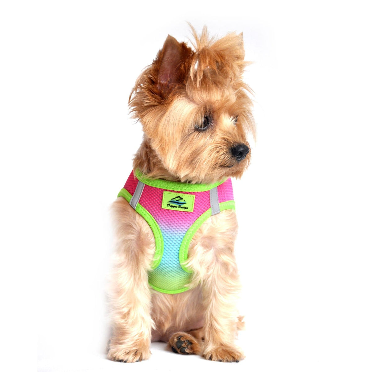American River Step-in Dog Harness - Ombre Collection